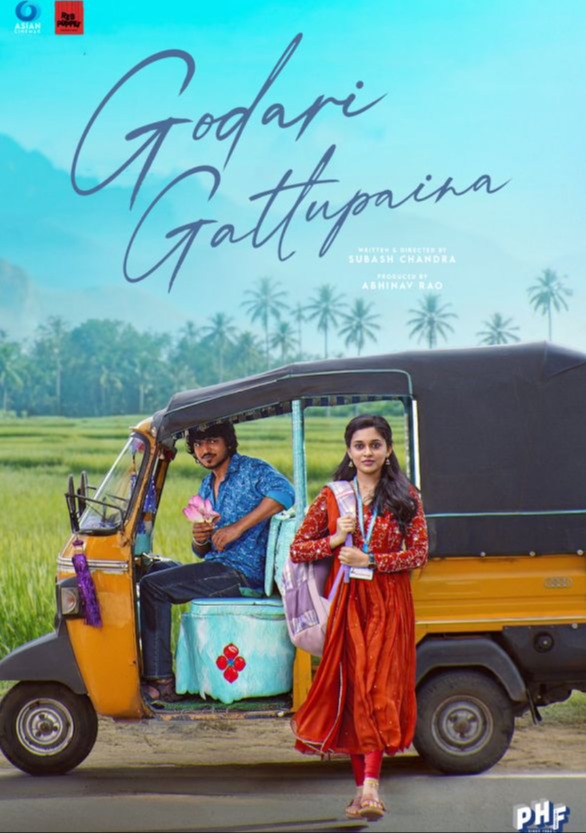 Godari Gattupaina