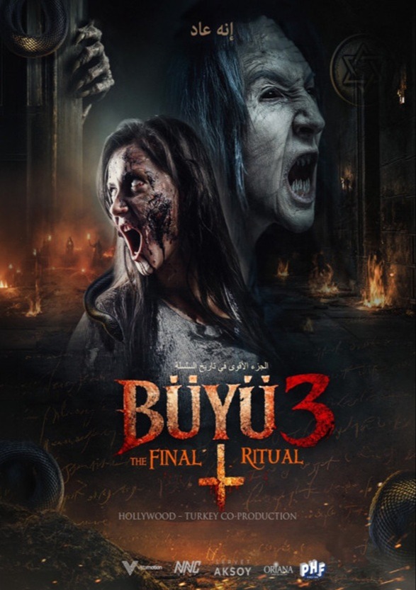 Buyu 3